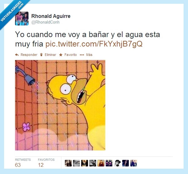 Bañar,agua,fria,muy fria,correr,baño,homer.