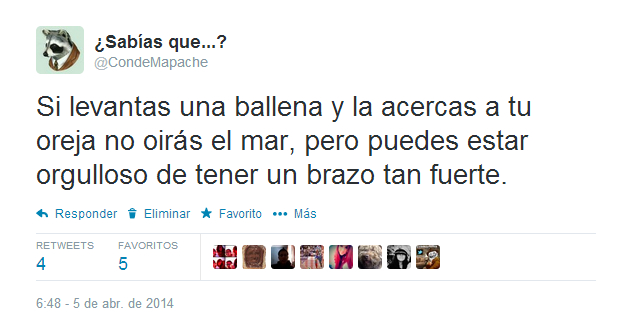 ballena,oreja,mar,brazo,fuerte