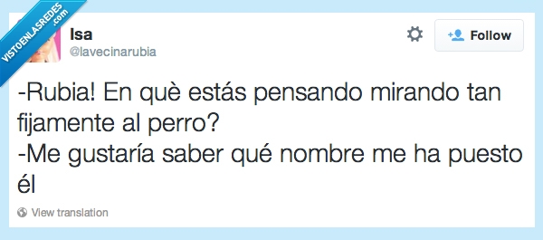 perros,rubias,inteligente,pregunta,nombre,poner