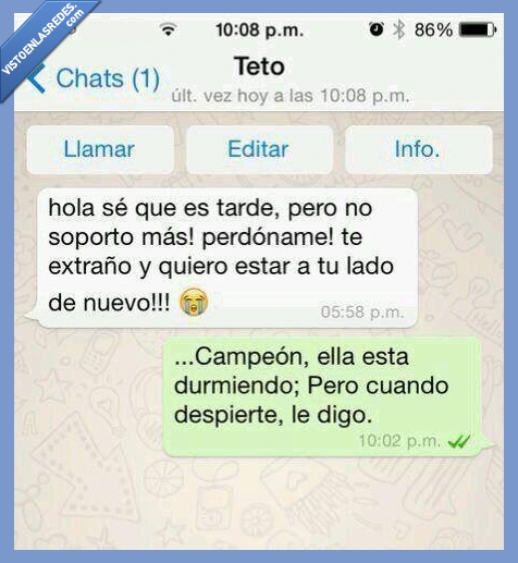 whatsapp,dormir,novia,nuevo,novio,volver,ex,chico