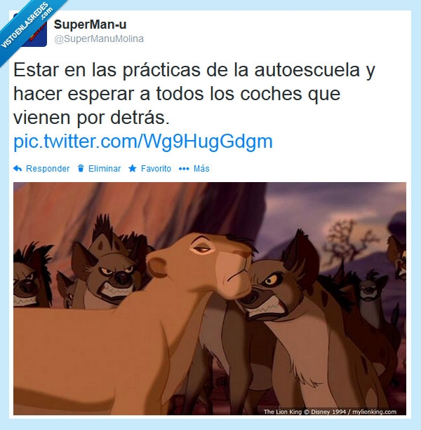 el rey león,sarabi,hienas,autoescuela,coche,fila