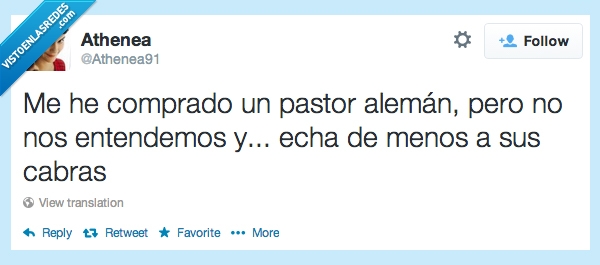 perro,entender,comprado,pastor,alemán,chiste,cabras