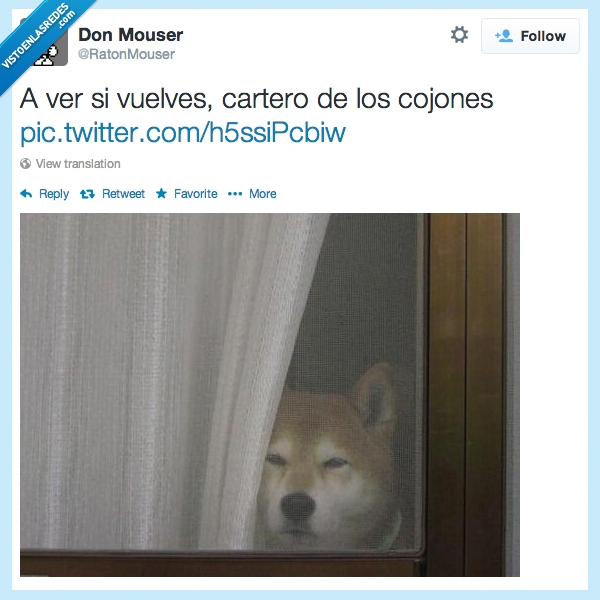 perro,shiba,akita,inu,mirar,ventana,cartero,volver,cuelves,la vieja del visillo perruna