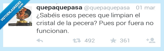 385371 - ¡Qué decepción! por @quepaquepasa