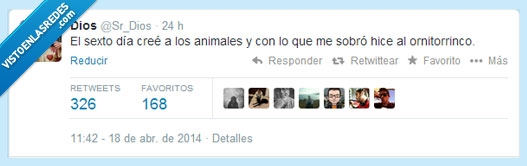 dios,creacion,bicho raro,ornitorrinco,pobre,sobra,pieza,animal