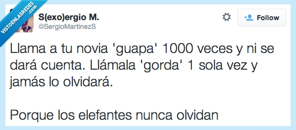 elefante,novia,guapa,darse cuenta,gorda,olvidar,nunca