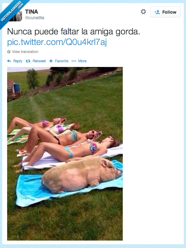 humor,Twitter,verano,sol,amiga