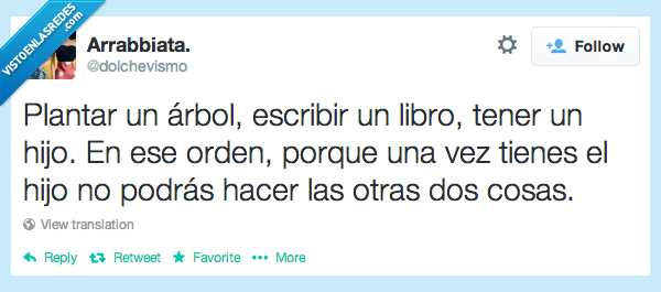 tiempo,orden,hijo,tener,libro,escribir,arbol,plantar