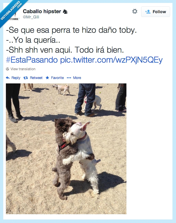 perro,ex,relacion,abrazar,queria,amigo,abrazo