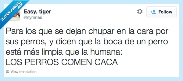 boca,perro,aggg qué asco,chupar,comer,caca,recuerdo,beso