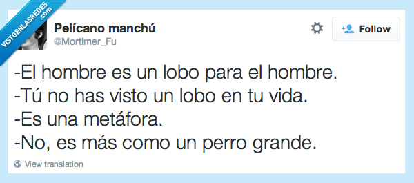 lobo,hombre,metafora,perro,grande