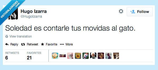 soledad,contar,movidas,gato,triste,solo,forever alone