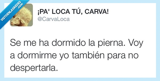 dormido,pierna,dormir,tambien,despertar