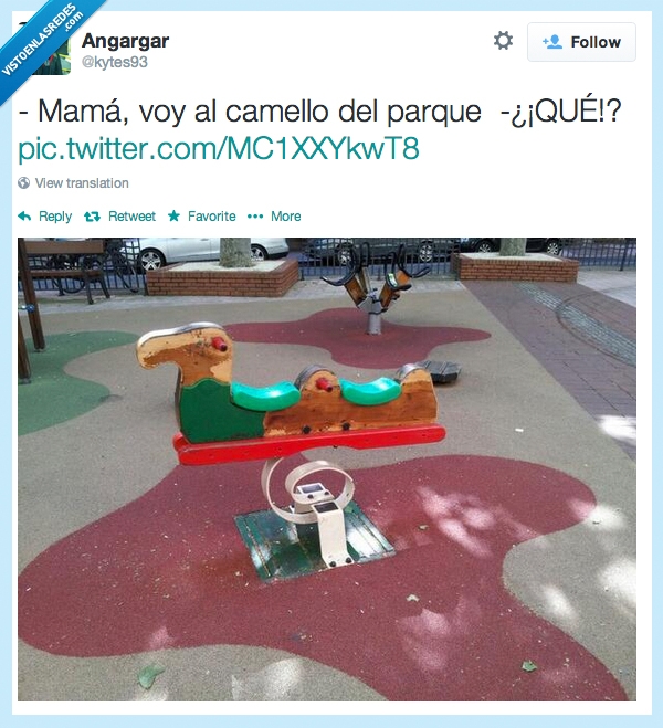 Twitter,camello,parque,kytes93,madre,asustar