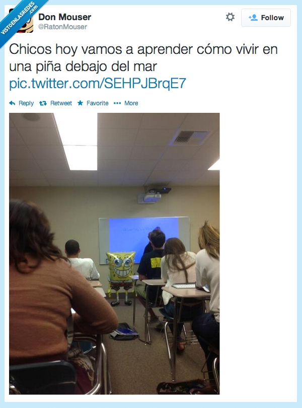 bob esponja,globo,profesor,clase,universidad,powerpoint