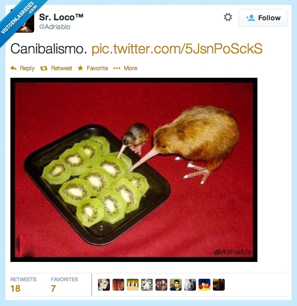 canibal,canibalismo,kiwis,kiwi,comer,fruta,animal,adriablo,señor loco