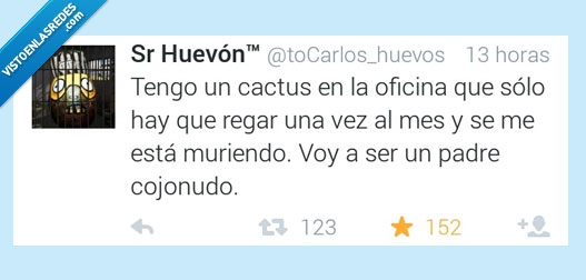 cactus,oficina,solo,regar,vez,mes,cuidar,morir,muriendo,padre,padrazo