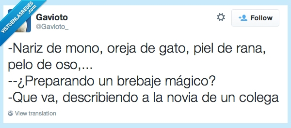 rana,oso,novia,amigo,colega,animal,fea,amigos