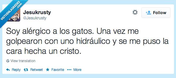 hostia,golpe.,inflamada,inflada,cristo,hecha,cara,hidraulico,gatos,alergico