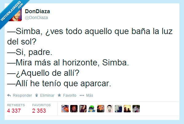 simba,lejos,aparcar,aparcado,coche,horizonte,alli