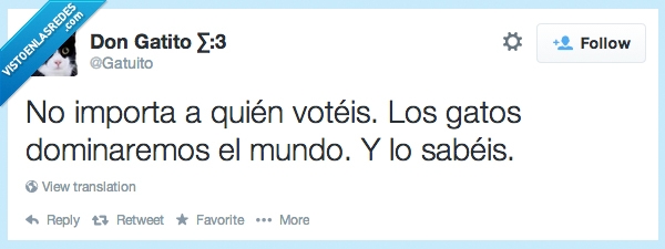 gato,dominación mundial,elecciones,politicos