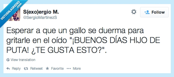 buenos dias,gusta,dormido,gritar,hijo de fruta,gallo,eso,oido,despertar
