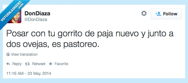 posar,gorrito,gorro,nuevo,oveja,postureo,pastoreo