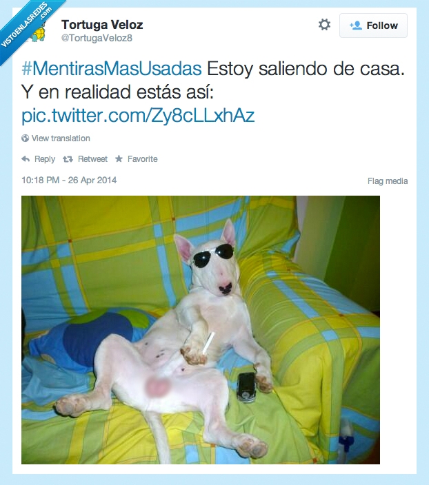 mentiroso,saliendo,quedar,tarde,colegas,perro,pitbull,disimular,mentir,mentira