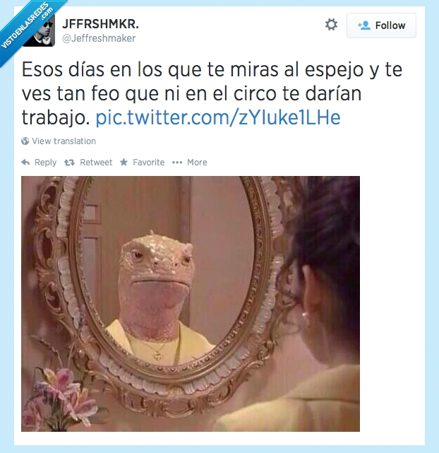 bicho,dinosaurio,lagarto,Mordor,Reflejo,Horrible,Feo,Espejo,lagartija