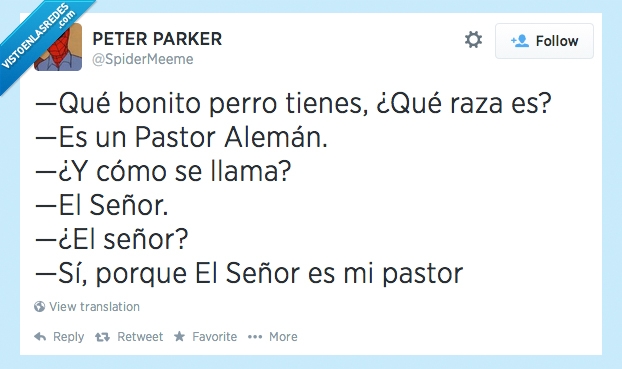 perro,señor,pastor aleman,pastor,raza