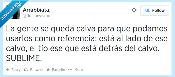 gente,queda,calva,poder,usar,punto,referencia,calvo,sublime,encontrar,lado