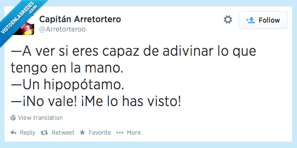 hipopótamo,capaz,adivinar,mano,absurdo,trampa