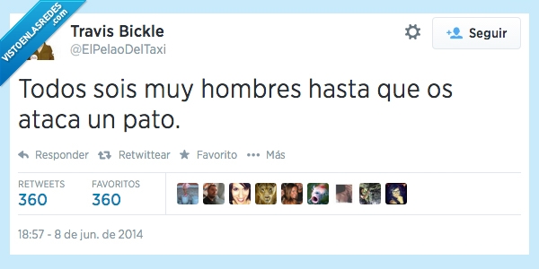 miedo,huir,atacar,pato,ataca,macho,muy,hombres,todos