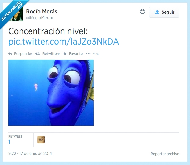 imposible,estudiar,balleno,concentración,dori