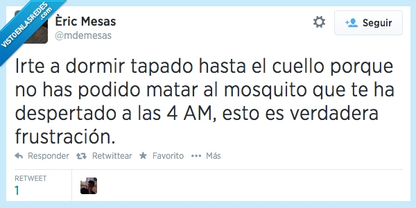 dormir,mosquito,zumbido,noche,madrugada,frustracion,matar,tapar,cuello,tapado