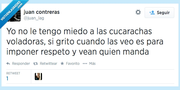 gritar,cucarachas voladoras,respeto,imponer,vean,manda