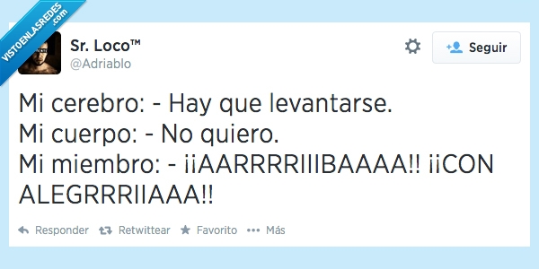 cuerpo,cerebro,levantarse,arriba,señor loco,alegria,adriablo