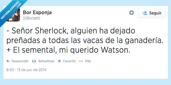 ganaderia,vaca,preñada,sherlock holmes,watson,elemental,querido