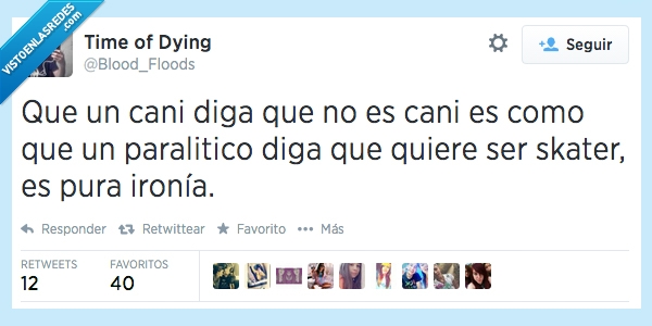 cani,skater,ironía,twitter,paralitico,pura,ser,negar