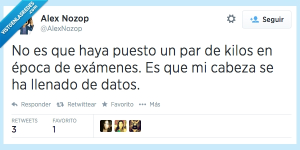 gordo,peso,datos,cabeza,exámenes,engorda,estudiar