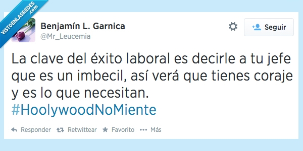 exito,jefe,incongruencia,Hoolywood,insultar,coraje