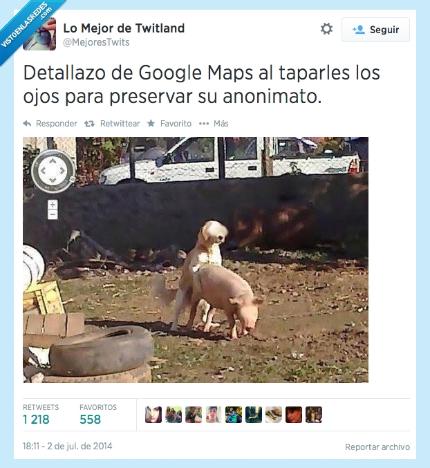 perro,cerdo,anonimos,maps,privacidad,así nació el cerdiperro,ojos,tapar,censurar