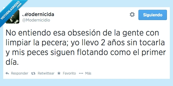 manía,morir,nadar,limpiar,flotar,peces,pecera