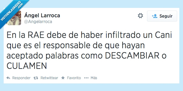 culamen,descambiar,rae,cani,aberraciones,palabras,ortografia,diccionario,aceptado,aceptar