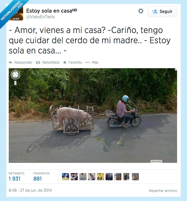 cerdo,jaula,sola,casa,cariño,amor,novia,carretera,moto