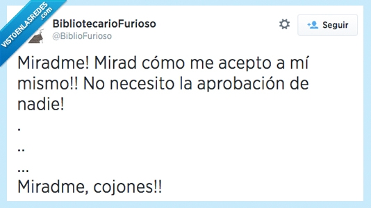 inseguridad,pesada,nadie,aprobacion,misma,acepto,mirar,miradme