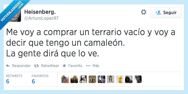 vacio,terrario,mentira,dira,mentir,gente,comprar,ver,camaleon