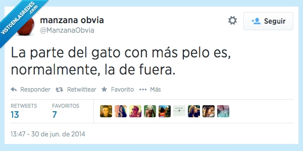 fuera,peluda,parte,gato