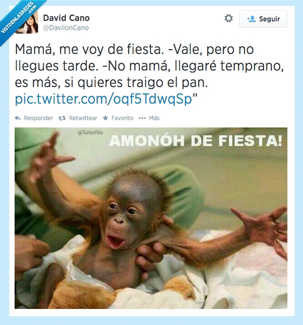 temprano,verano,pan,tarde,fiesta,comprar,mono,volver,casa