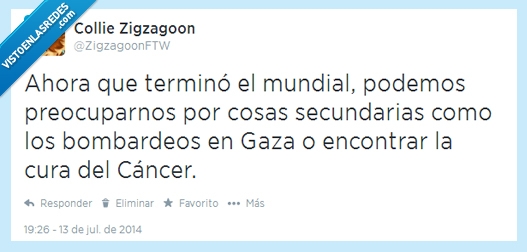 ZigzagoonFTW,Mundial,2014,#ERAPENAL,Hambre,África,Cáncer,Gaza,Bombas